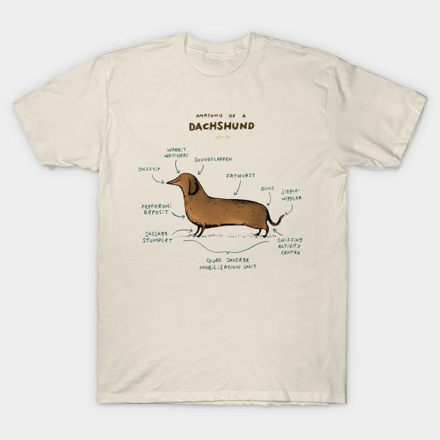 Anatomy of a Dachshund T-Shirt by Sophie Corrigan